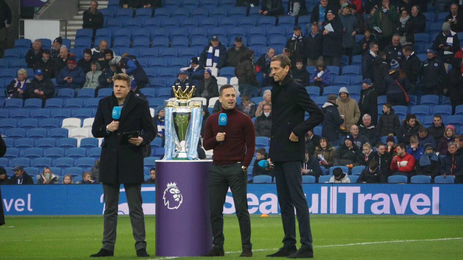 一只流浪猫 一只流浪猫